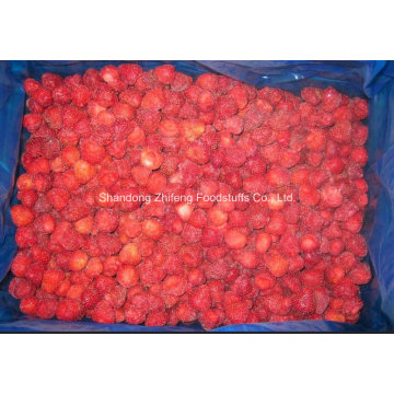 IQF Freezing Organic Strawberry en buena calidad